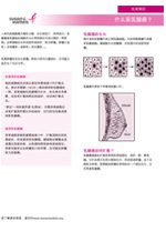 Breast Health Facts for Life - What is Breast Cancer in Chinese